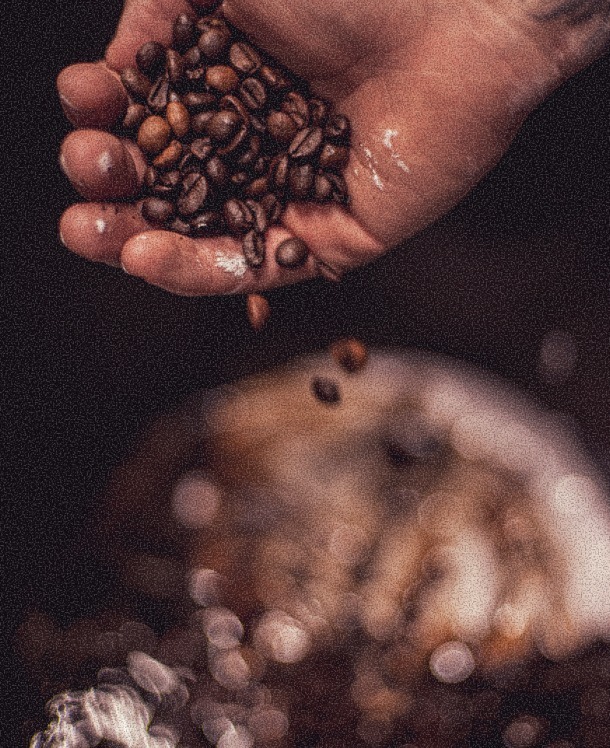 Lyria fabbrica laboratorio 01