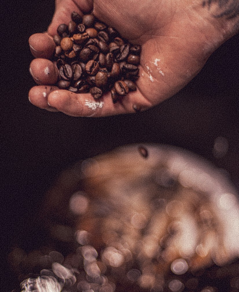 ORGANIC COLORS THAT RESPECT THE ENVIRONMENT